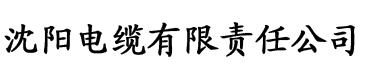 东北农村大炕全集1一7电缆厂logo